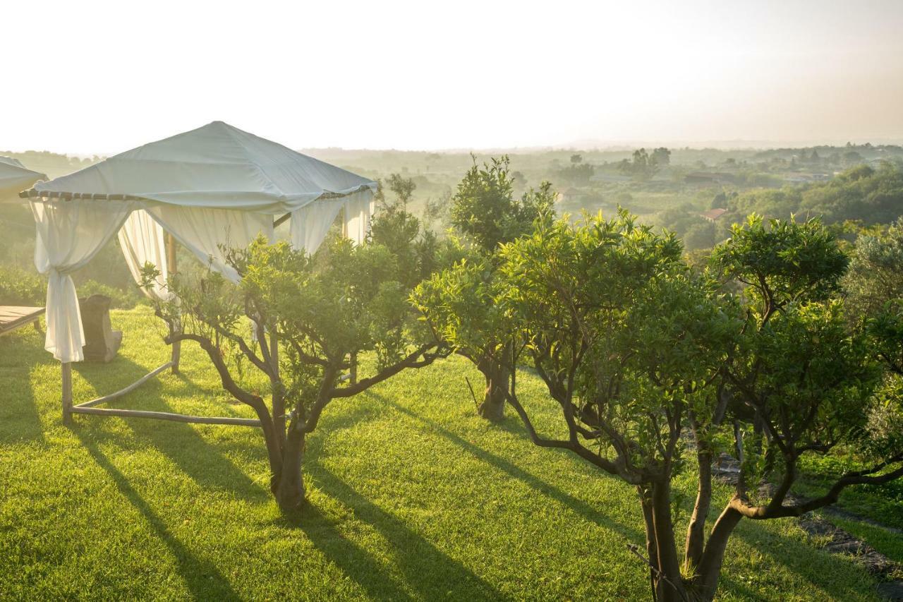 ホテル Monaci Delle Terre Nere ザッフェラーナ・エトネーア エクステリア 写真