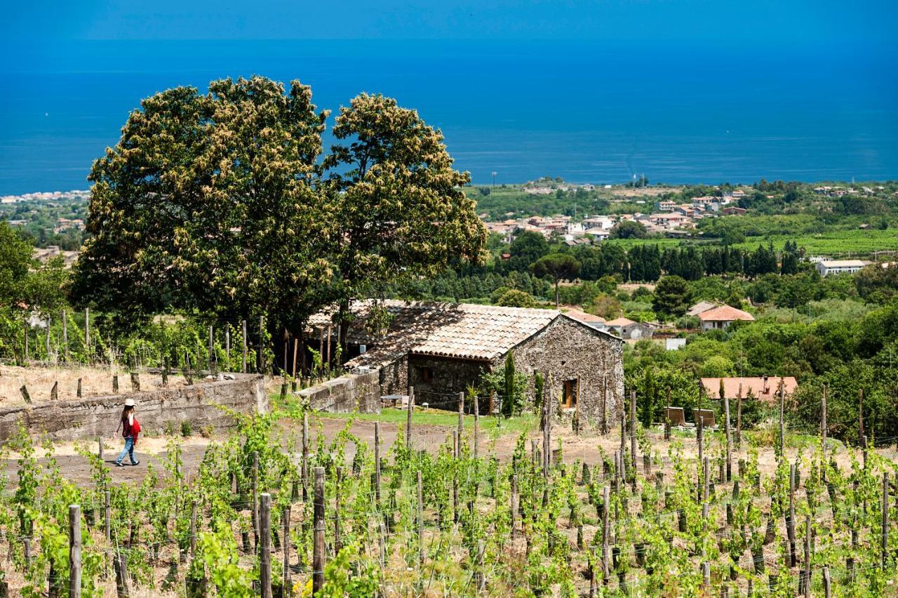 ホテル Monaci Delle Terre Nere ザッフェラーナ・エトネーア エクステリア 写真